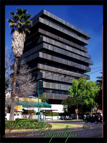 LOMAS PALMAS